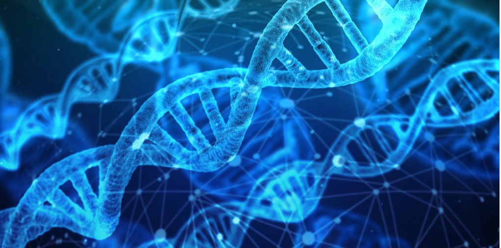 Htt genetic Algorithms